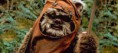 /album/fenykepgaleria/a35-wicket-starwars-jpg/