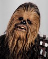 /album/fenykepgaleria/chewbaccaheadshot-jpg/